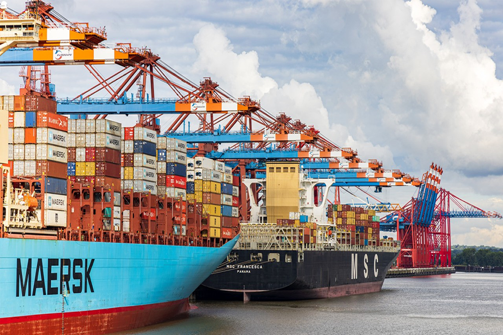Ocean Freight Transportation